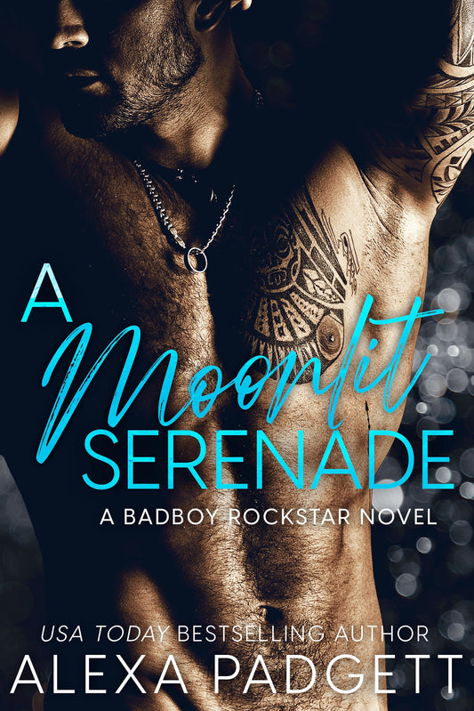 A Moonlit Serenade E-Book